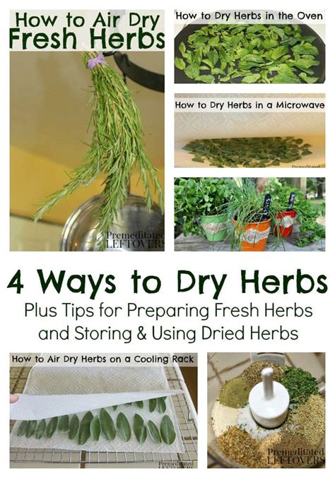 how to dry herbs at home the ultimate guide to drying herbs Reader