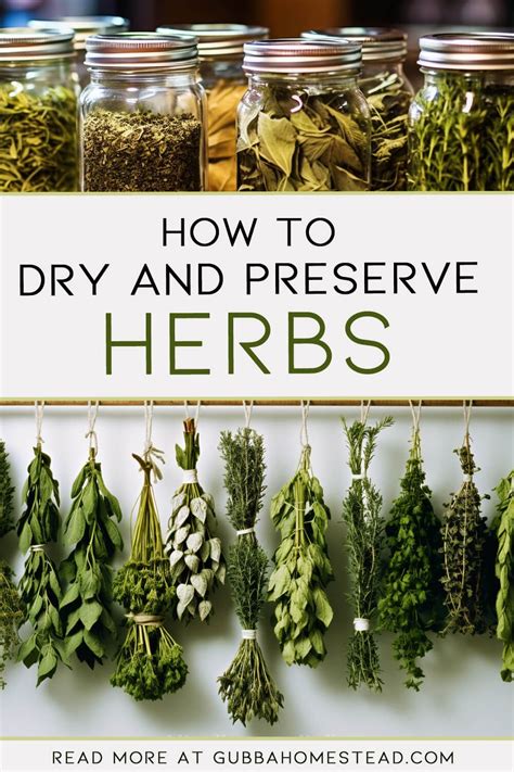 how to dry herbs at home the ultimate guide to drying herbs Reader