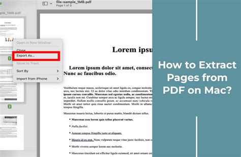 how to extract a page from a pdf Epub