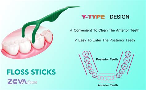 proper flossing technique for molars and back teeth for beginners