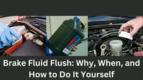 how to flush my brake system PDF