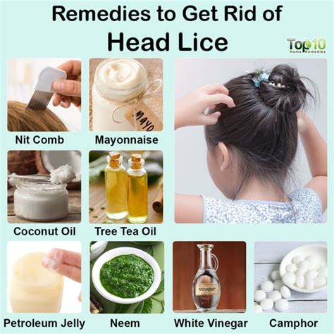 how to get ride of lice