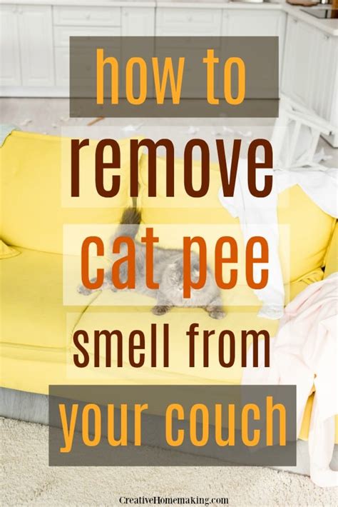 how to get smell of dog urine out of couch