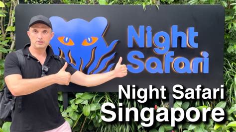 how to get to night safari