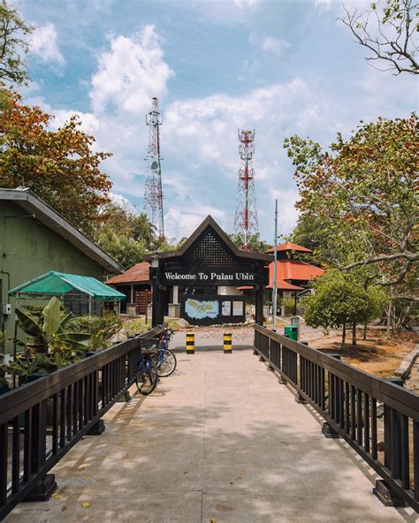 how to get to pulau ubin