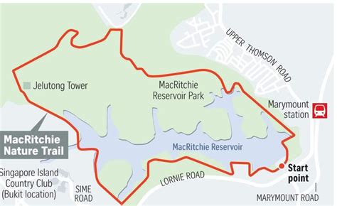 how to go macritchie reservoir by mrt