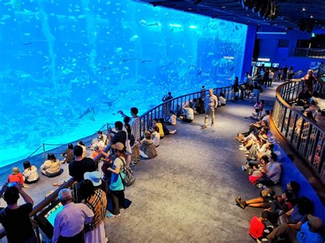 how to go to sea aquarium