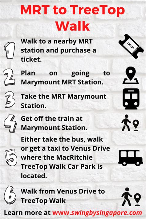 how to go tree top walk by mrt