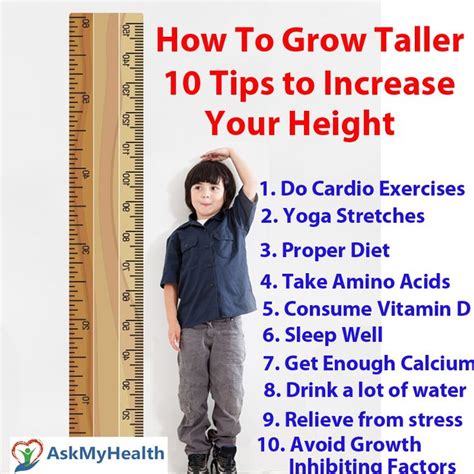 how to grow taller 4 inches within 8 weeks 1 guide PDF