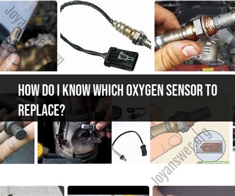 how to guide oxygen sensor liana Kindle Editon