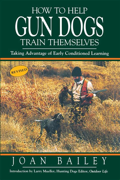 how to help gun dogs train themselves Reader