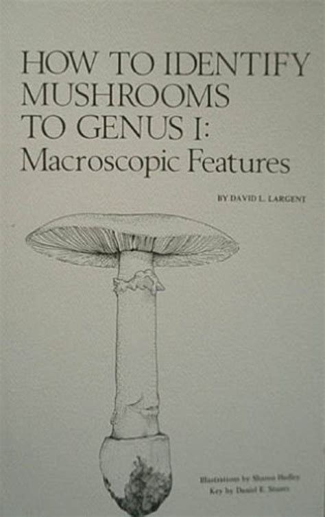 how to identify mushrooms to genus i macroscopic features Doc
