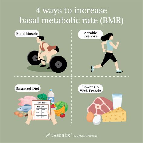 how to increase basal metabolic rate