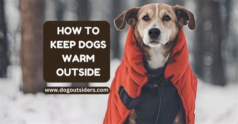 how to keep dogs warm outside