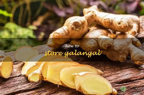 how to keep galangal fresh for long time PDF