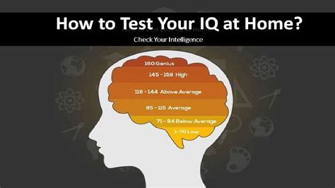 how to know how much iq you have