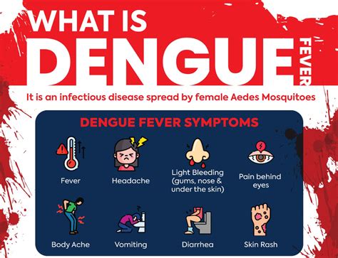 how to know if you have dengue