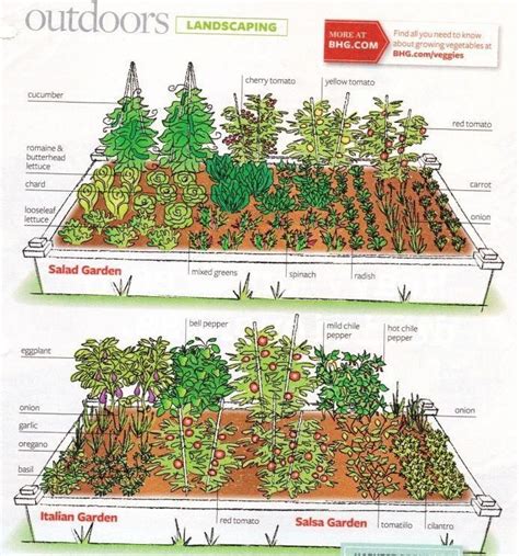 how to lay out a garden how to lay out a garden PDF