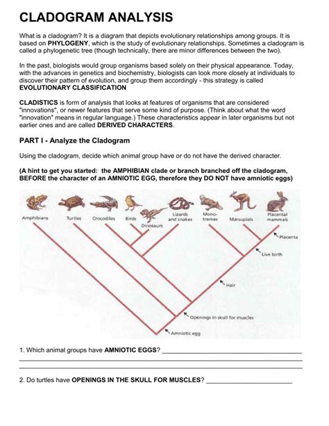 how to make a cladogram worksheet answers pdf Epub