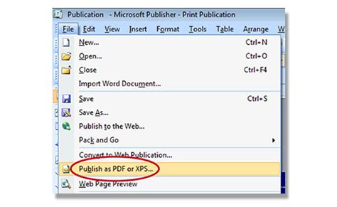 how to make a publisher document a pdf Epub