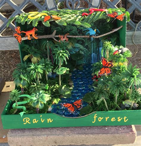 how to make a tropical rainforest project Reader