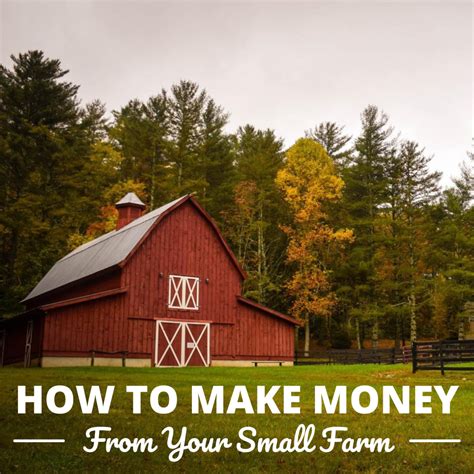 how to make money from rural land Epub