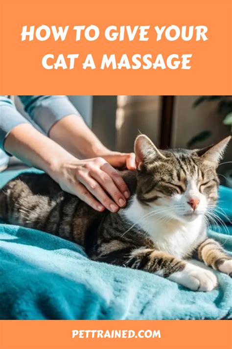 how to massage your cat Kindle Editon