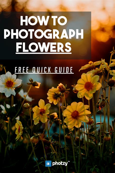 how to photograph flowers how to photograph flowers Doc