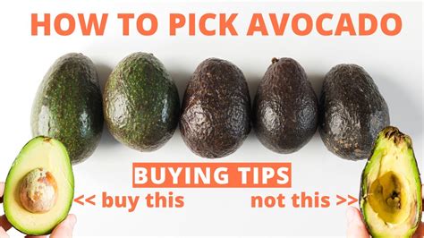 how to pick a good avocado