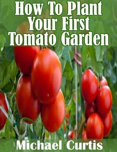 how to plant your first tomato garden Reader