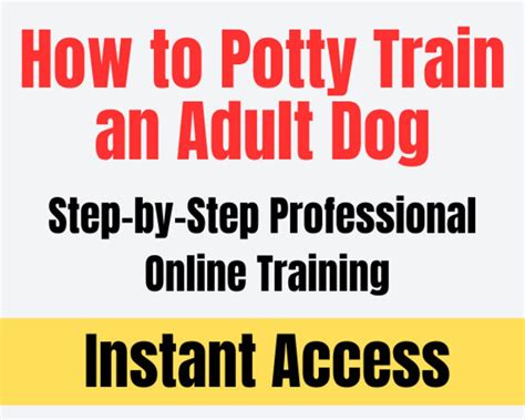 how to potty train an adult dog