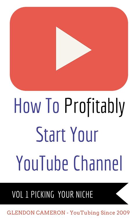 how to profitably start your youtube channel vol 1 picking your niche Kindle Editon