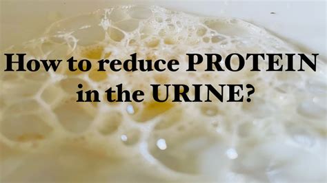 how to reduce protein in urine