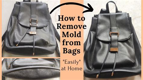 how to remove mould from leather bag