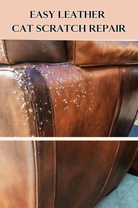 how to repair cat scratches on leather Reader