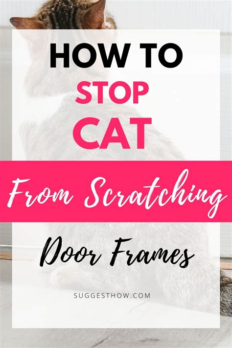 how to stop cat from scratching door