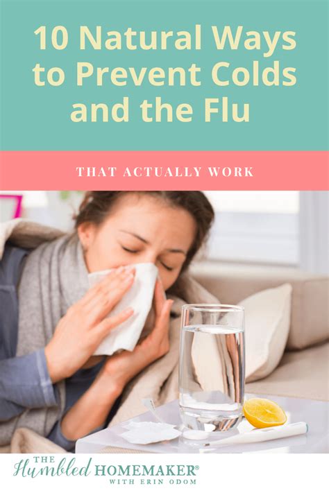 how to stop colds allergies and more Epub