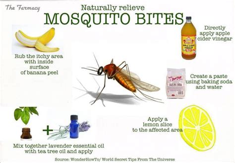 how to stop mosquito bites from itching