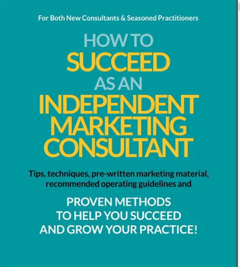 how to succeed as an independent consultant PDF