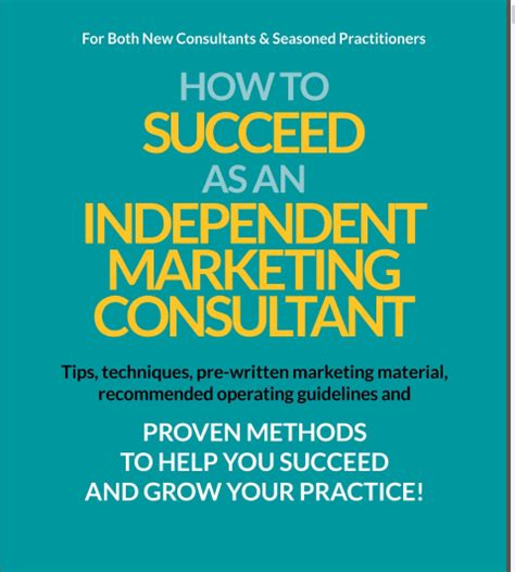 how to succeed as an independent consultant PDF