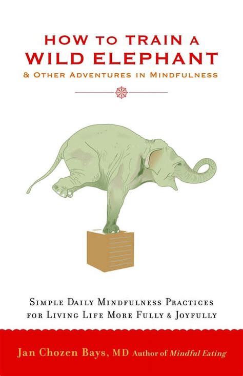 how to train a wild elephant and other adventures in mindfulness Reader