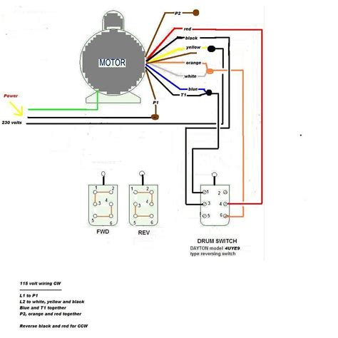 how to wire a 12 lead motor PDF