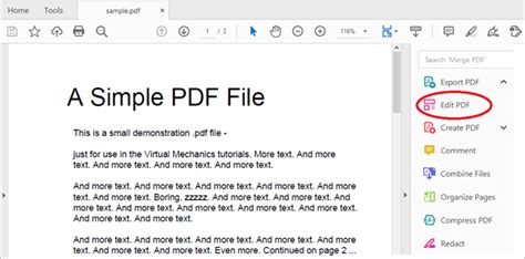 how to write in a pdf file Kindle Editon