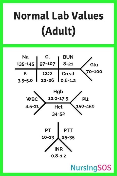 how to write lab results in progress notes Reader