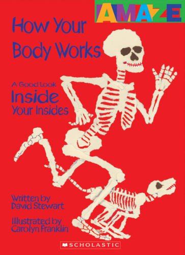 how your body works a good look inside you insides amaze Doc