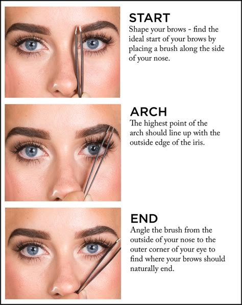 howto twizze eyebrows pdf PDF