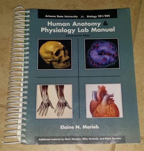 human anatomy lab manual marieb 5th edition pdf Reader