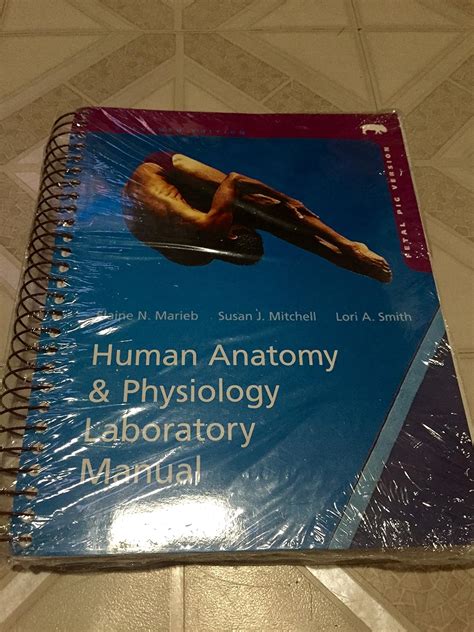 human anatomy lab manual marieb mitchell pdf Doc