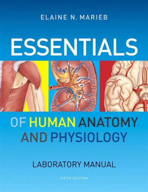 human anatomy physiology lab manual marieb 2nd edition PDF