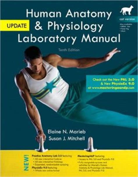 human anatomy physiology marieb lab manual answers 10th PDF